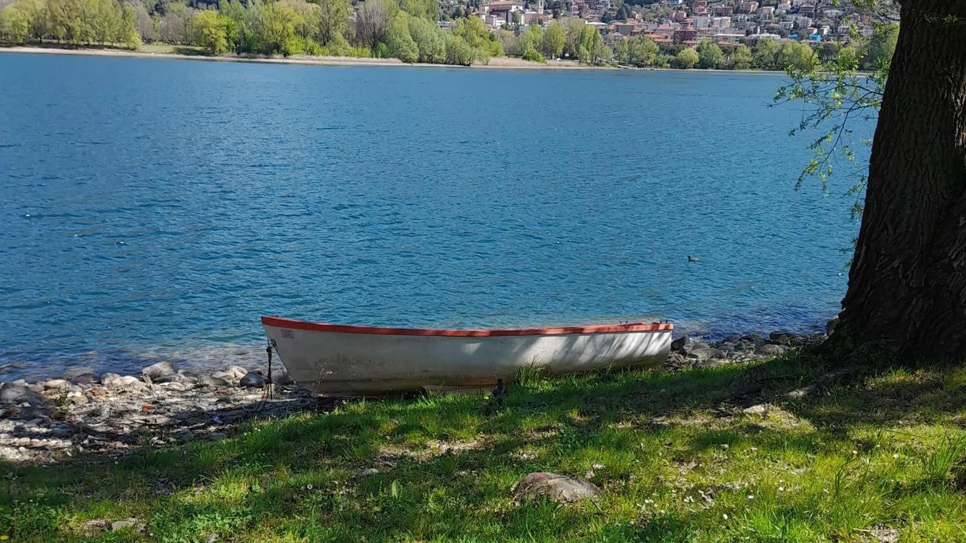 La Terrazza Di Basilio - Vista Lago Olginate Lejlighed
